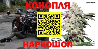 прущие грибы Гусиноозёрск