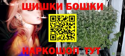 прущие грибы Гусиноозёрск