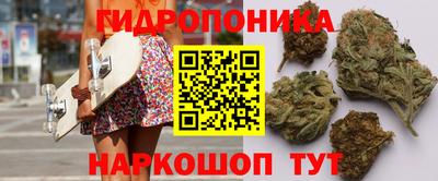 мдма Гусев